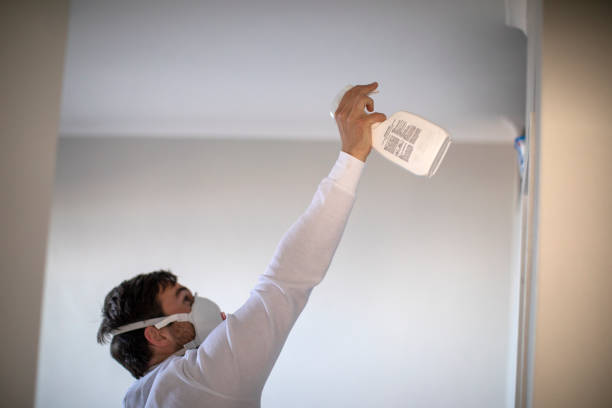 Best Certified Mold Removal  in Olympia, SC
