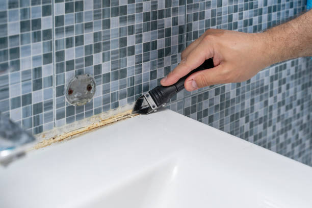 Best Fast Mold Removal  in Olympia, SC