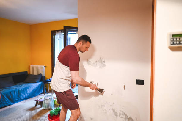 Mold Removal and Inspection in Olympia, SC